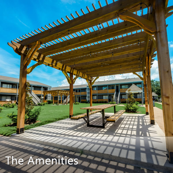 Features & Amenities